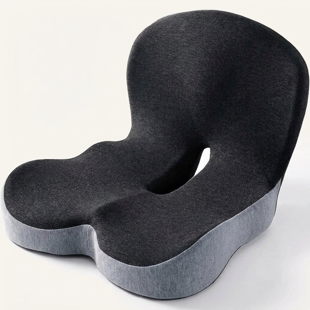 AuraLumbar Cushion image 1